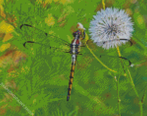 Cute Dragonfly And Dandelion Diamond Paintings