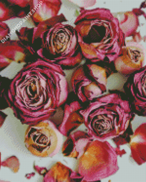 Dried Roses Diamond Paintings