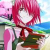 Lucy Elfen Lied Anime Diamond Paintings