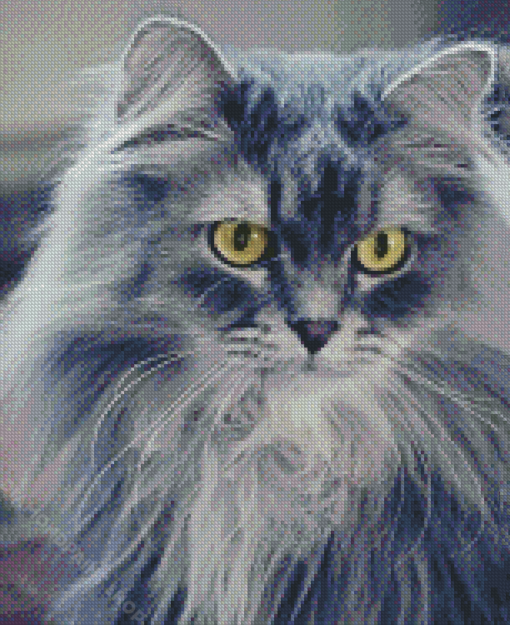 Fluffy Grey Cat Diamond Paintings