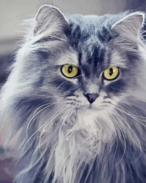 Fluffy Grey Cat Diamond Paintings