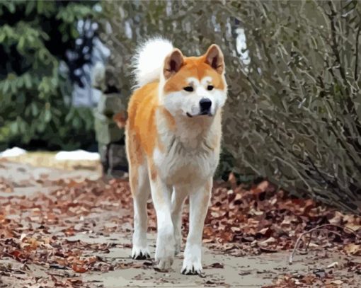 Hachi The Dog Diamond Paintings