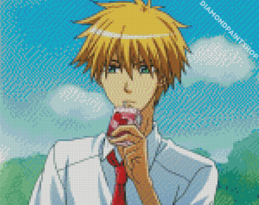 Takumi Usui Character Diamond Paintings