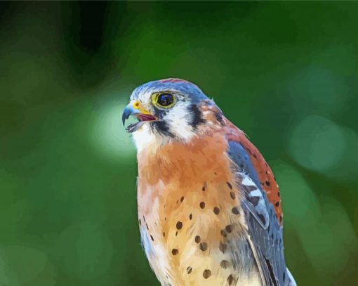 Kestrel Bird Diamond Paintings