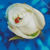 Ladybug On White Rose Diamond Painting