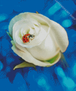 Ladybug On White Rose Diamond Painting