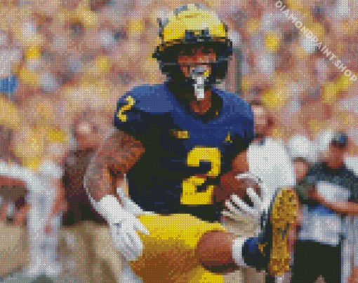 Michigan Wolverine Player Diamond Paintings