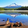 Oregon Mountains Lake Diamond Paintings