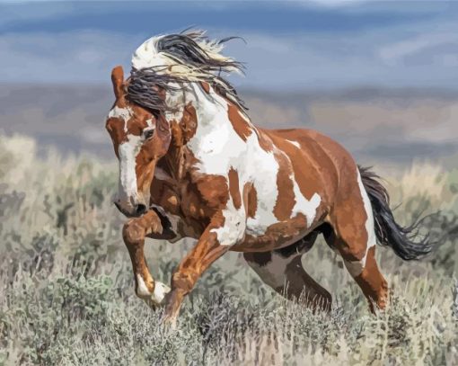 Piccaso Horse Running Diamond Paintings