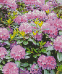 Purple Rhododendron Diamond Paintings