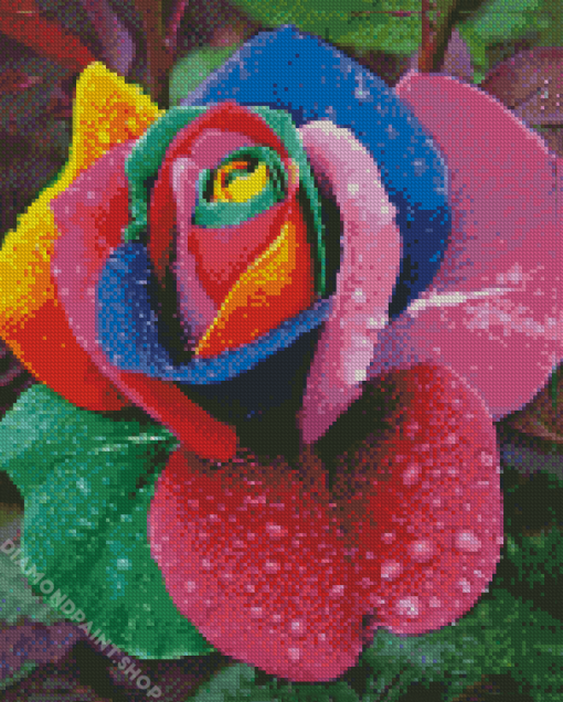 Rainbow Flower Diamond Paintings