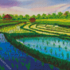 Rice Field Diamond Paintings