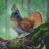 Ruffed Grouse Bird Diamond Paintings