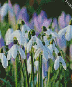 Snow Drops Plants Diamond Paintings