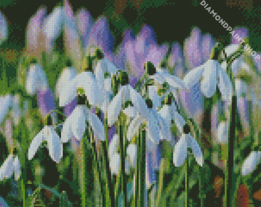 Snow Drops Plants Diamond Paintings