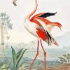 Vintage Flamingo Diamond Paintings