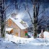 Vintage Snowy Home Diamond Paintings