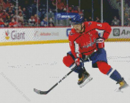 Washington Capitals Player Diamond Paintings