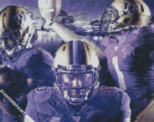 Washington Huskies Diamond Paintings