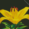 Yellow Lily Flower Diamond Paintings