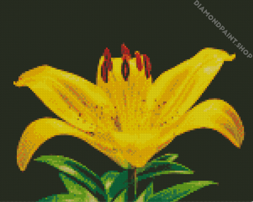 Yellow Lily Flower Diamond Paintings