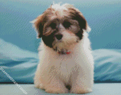 Shih Tzu Puppy Diamond Paintings