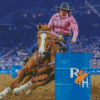 Barrel Racing Diamond Paintings