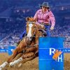 Barrel Racing Diamond Paintings