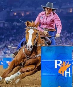 Barrel Racing Diamond Paintings