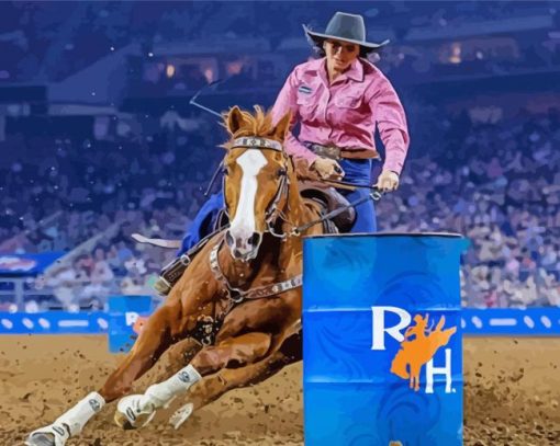 Barrel Racing Diamond Paintings