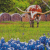 Longhorn In Bluebonnets Diamond Paintings