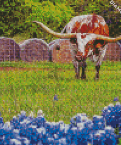 Longhorn In Bluebonnets Diamond Paintings