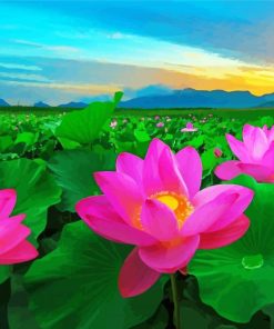 Lotus Blossoms Diamond Paintings