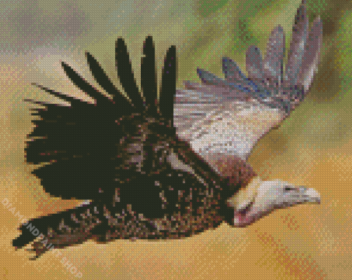 Flying Vulture Diamond Paintings