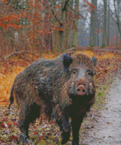 Aesthetic Wild Boar Diamond Paintings