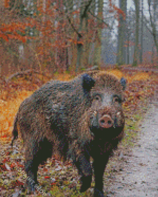 Aesthetic Wild Boar Diamond Paintings