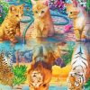 Kittens Water Reflection Diamond By Paintings