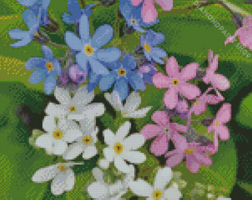 Forget Me Not Flowers Diamond Paintings