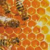 Honeycomb And Bees Diamond Paintings