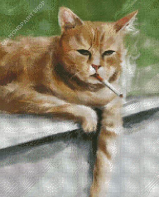 Sad Smoking Cat Diamond Paintings