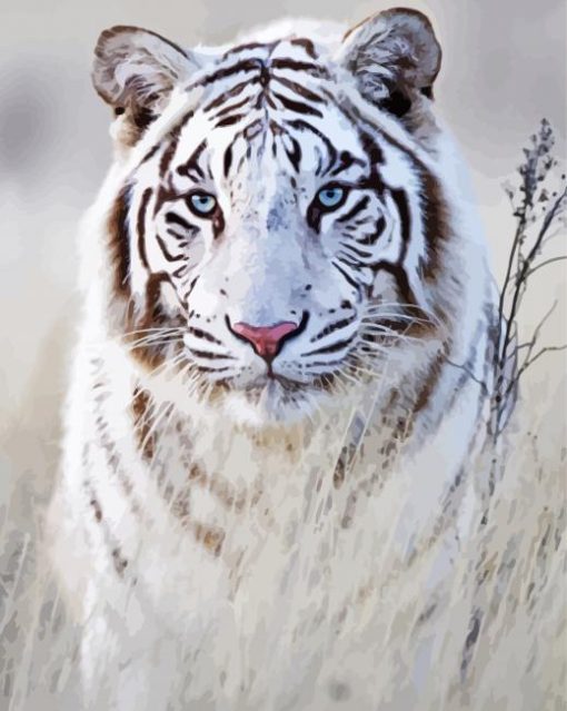 Adorable Siberian Tiger Diamond Paintings