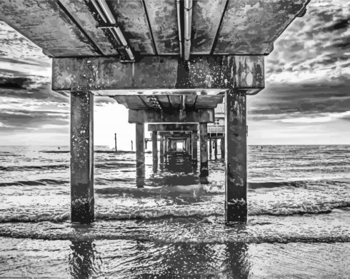 Monochrome Clearwater Beach Diamond Paintings