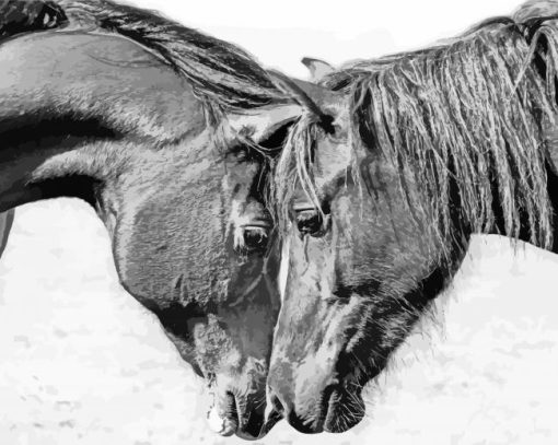 Monochrome Cob Horses Diamond Paintings