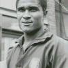 Eusebio Da Silva Footballer Diamond Paintings