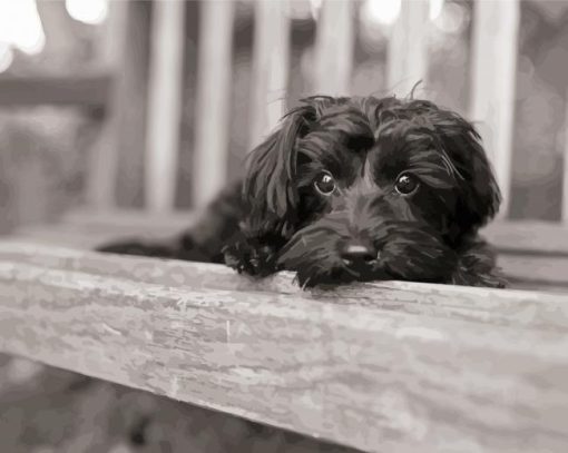 Monochrome Yorkiepoo Diamond Paintings