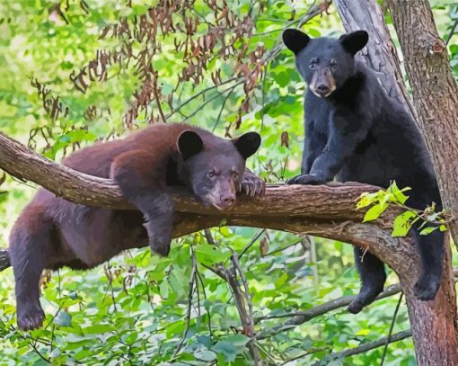 Black Bears Diamond Paintings