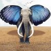 Elephant With Butterfly Wings Diamond Paintings