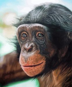 Bonobo Monkey Diamond Paintings