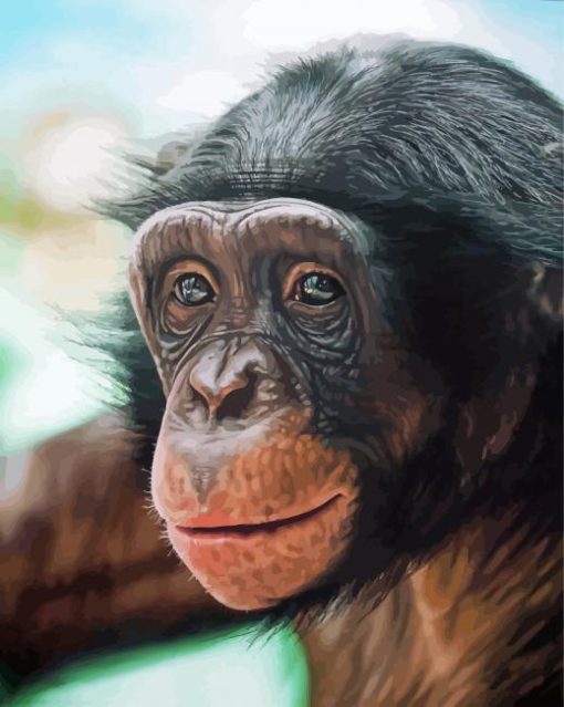 Bonobo Monkey Diamond Paintings