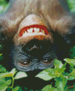 Happy Bonobo Monkey Diamond Paintings